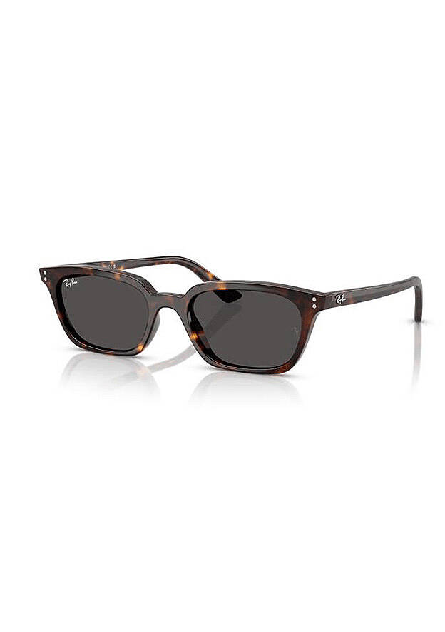 Ray-Ban 0RB4456 13598750 Unisex Güneş Gözlüğü - 1